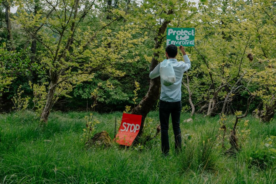 Răsfățați-vă Sufletul – Cum Plimbările în Natură Luminează Viața Noastră