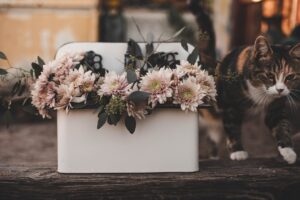 Photo organize wedding with small budget